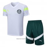 Tracksuit Palmeiras 2023-2024 Short Sleeve White - Shorts