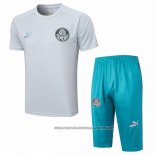 Tracksuit Palmeiras 2023-2024 Short Sleeve Grey - Shorts
