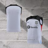 Barcelona Training Shirt 2023-2024 Without Sleeves Grey