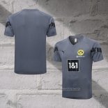 Borussia Dortmund Training Shirt 2022-2023 Grey