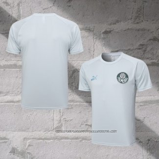 Palmeiras Training Shirt 2023-2024 Grey