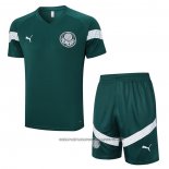 Tracksuit Palmeiras 2023-2024 Short Sleeve Green - Shorts