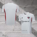 Sao Paulo Training Shirt 2023-2024 Grey