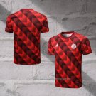 Bayern Munich Training Shirt 2022-2023 Red