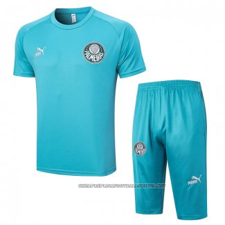 Tracksuit Palmeiras 2023-2024 Short Sleeve Green - Shorts